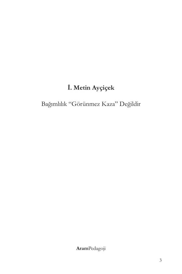 Metin Ayçiçek — Bağımlılık Görünmez Kaza Değildir kapağı