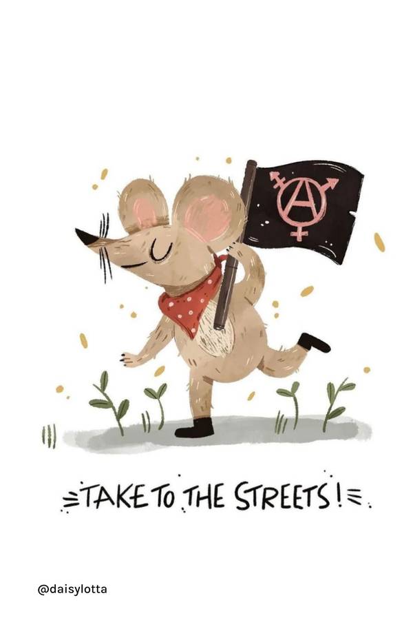 Information Booklet — Anarka kapağı