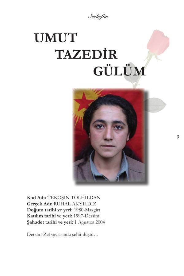 Tekoşin Arkadaşın Kitabı Hali Deneme kapağı