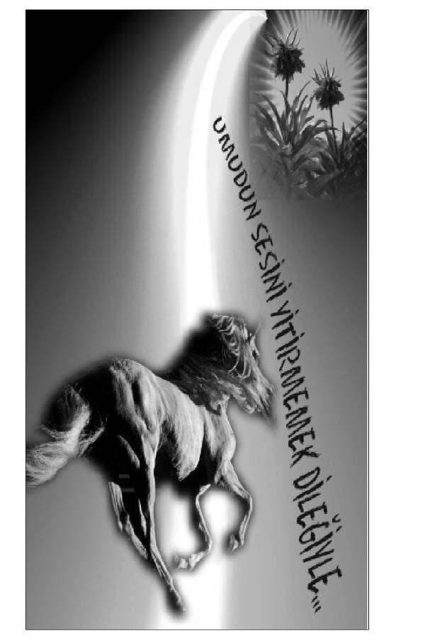 Umudun — Sesini — Yitirmemek — Dilegiyle kapağı